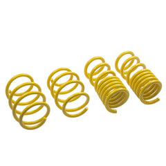 ST Suspensions 28230052 ST Lowering Springs