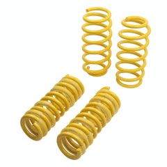 ST Suspensions 65503 Lowering Springs