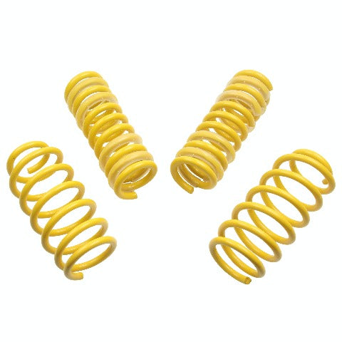 ST Suspensions 65504 Lowering Springs