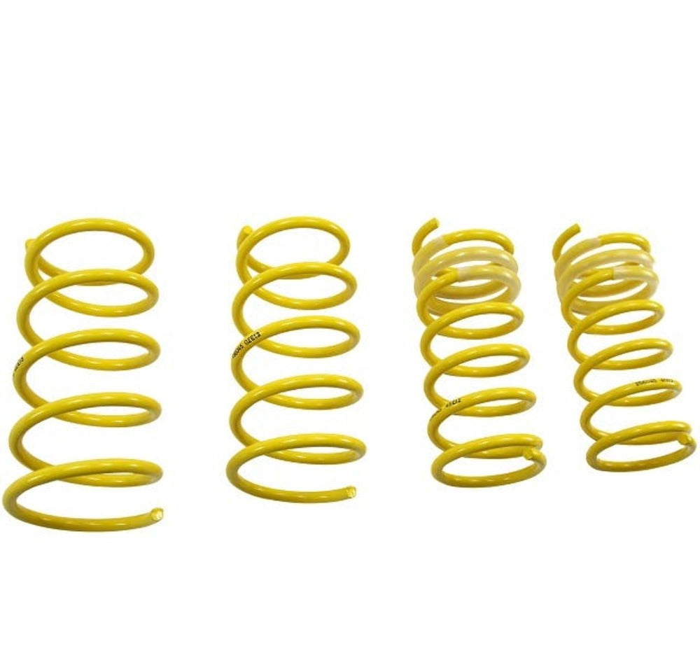 ST Suspensions 65820 Lowering Springs