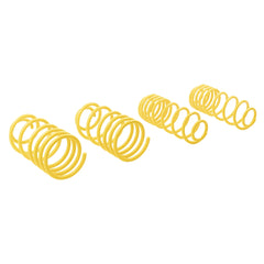 ST Suspensions 66206 Lowering Springs