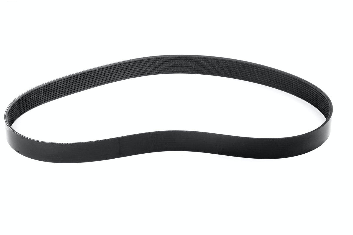 Weiand 91162 BELT,10R/48.25(1225mm)SPN