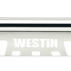 Westin Automotive 31-5110 E-Series Bull Bar Stainless Steel