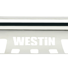 Westin Automotive 31-5250 E-Series Bull Bar Stainless Steel