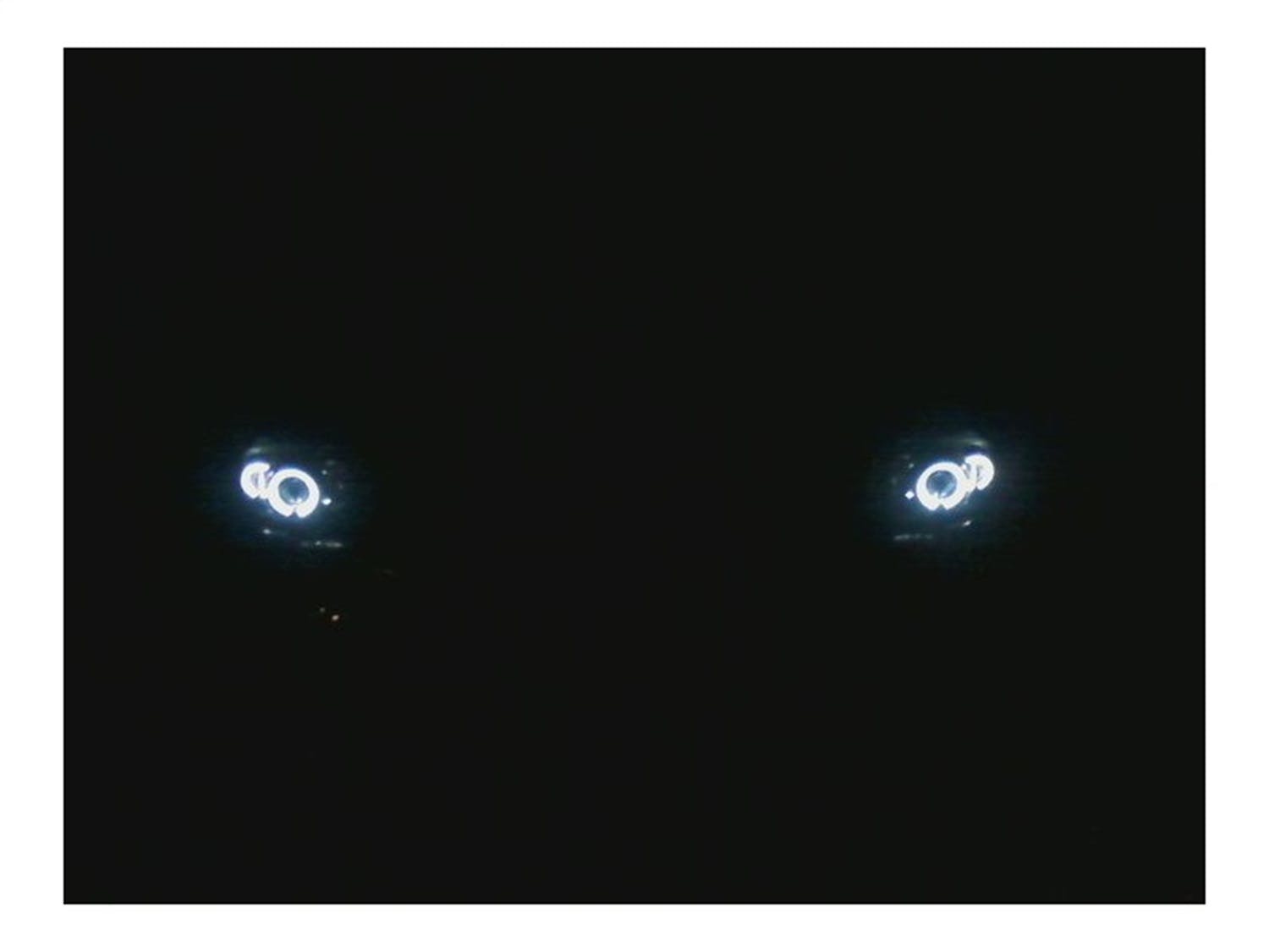 Spyder Auto 5009791 (Spyder) Dodge Dakota 97-04/Durango 98-03 1PC Projector Headlights-LED Halo-LED