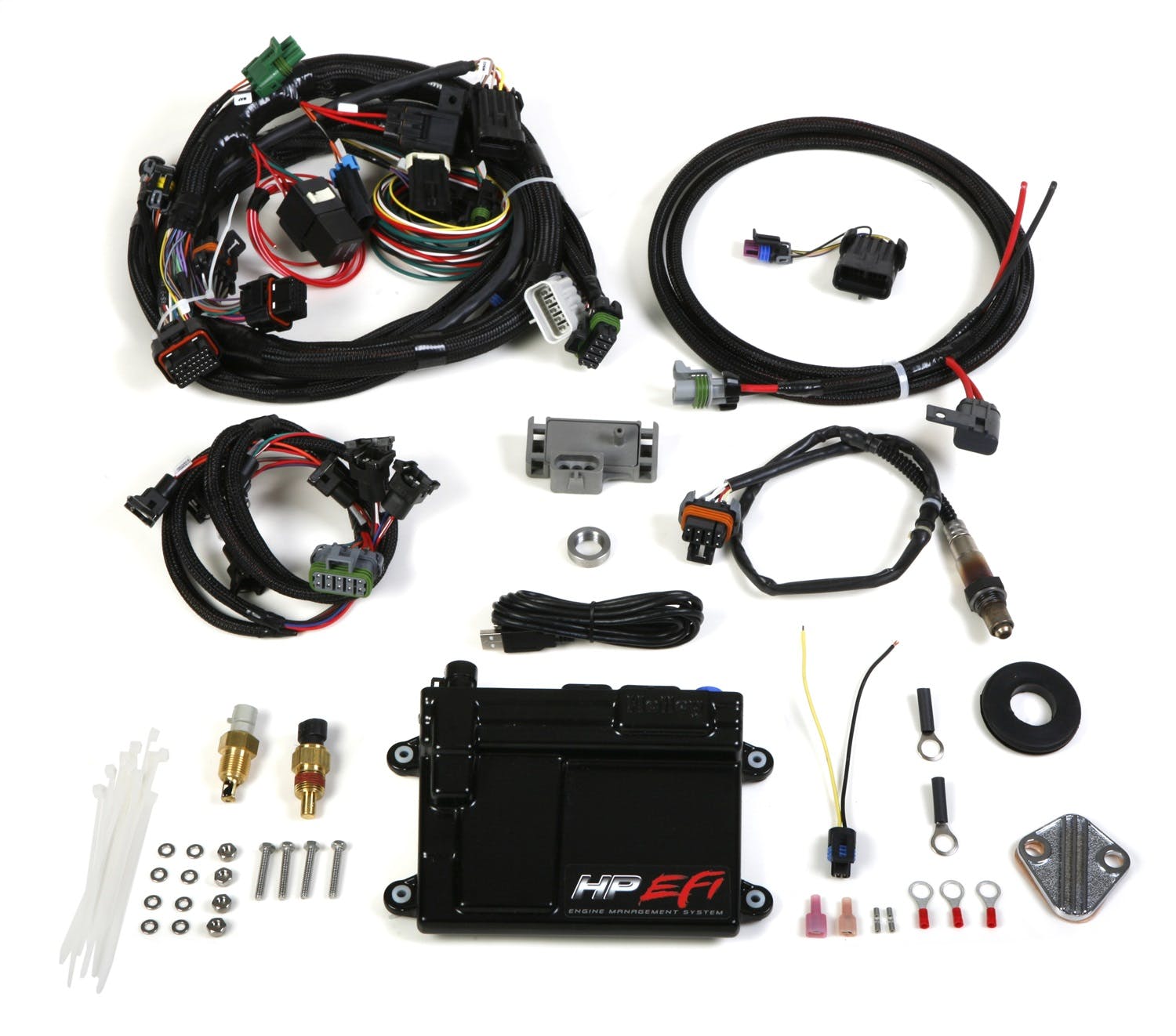 Holley EFI 550-601 HP ECU AND HARNESS FOR TPI and STEALTH RAM