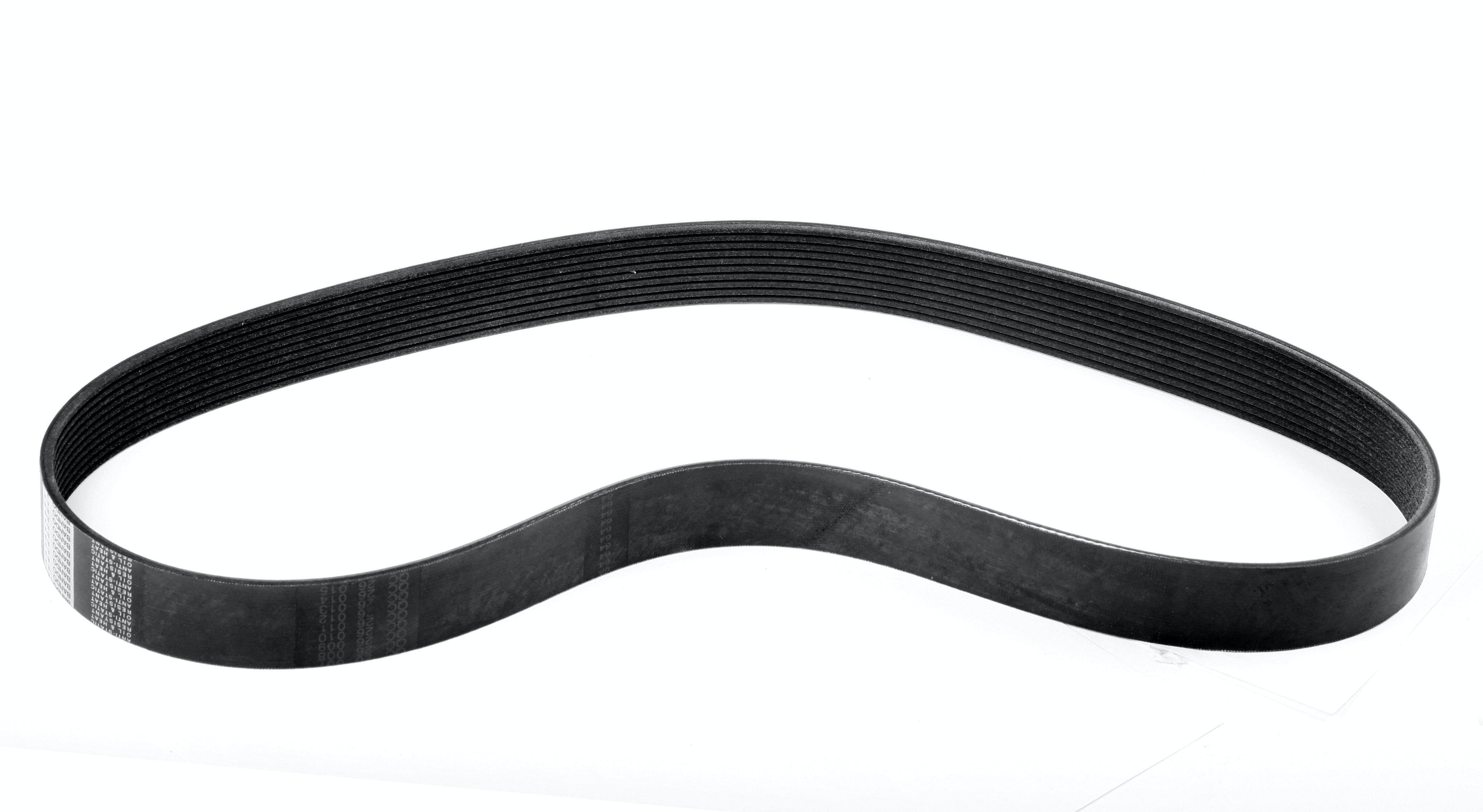 Weiand 91150 BELT,10R/47.1(1196mm)SPN