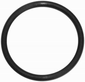 Racing Power Company R6004 Replacement water neck o-ring (2)
