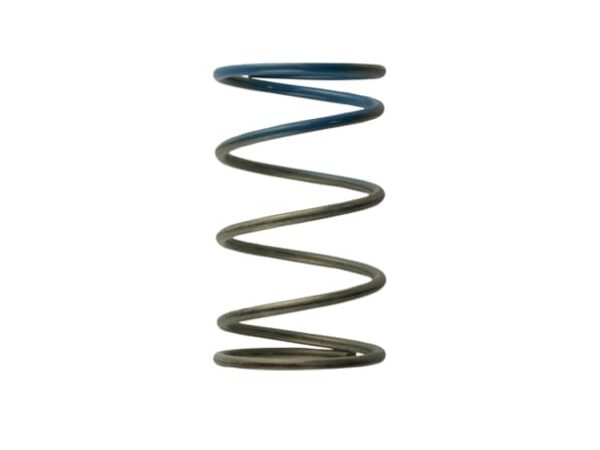 Turbosmart TS-0505-2005 2011 WG38/4045 10PSI Outer Spring Brown/Blue